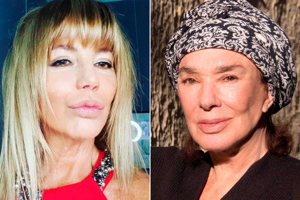 Any Ventura y una inesperada confesión sobre Graciela Borges: “Tuvimos una etapa de novias”