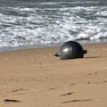 Qué son y por qué aparecieron esferas metálicas en las playas de Australia