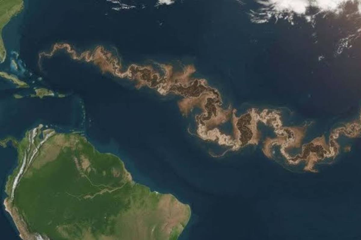 Apareció una franja marrón “continental” entre el océano Atlántico y África: esta es la explicación.