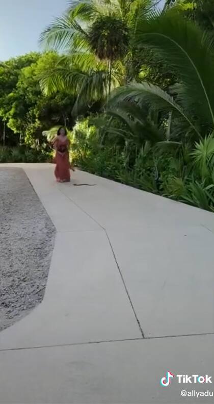 Apareció una serpiente en su camino.
