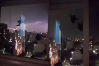Aparentemente, los murciélagos querían entrar a la casa para resguardarse del temporal