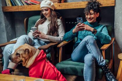 Aparte de ser muy positivo, los lugares petfriendly plantean una serie de interrogantes y establecen nuevas responsabilidades para los dueños de perros y gatos (Foto Unsplash)
