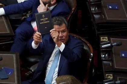 Apertura de sesiones legislativas. Facundo Manes, diputado nacional, tuvo un cruce con Milei durante el discurso
