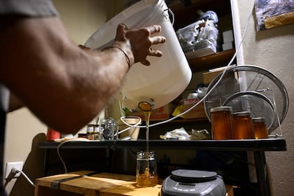 Apicultores urbanos de Atenas encuentran alegría y un propósito en las colmenas en azoteas