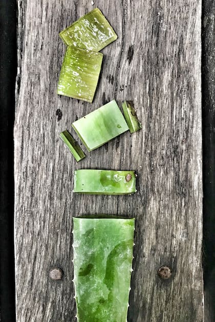 Aplicado sobre la piel, el gel fresco de aloe vera actúa como un humectante natural que retiene la humedad en la piel