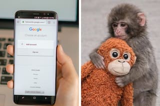 Esto pasa en Google cuando se pone en el buscador "punch the monkey"