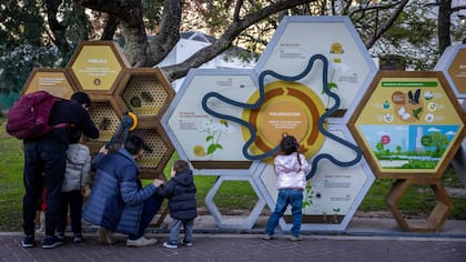 Aprender en familia , uno de los objetivos del Ecoparque.