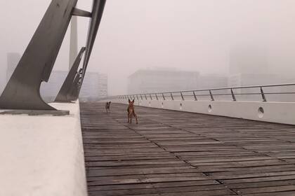 Apuntes desde el encierro, movilizante documental que revisiona el aislamiento por la pandemia