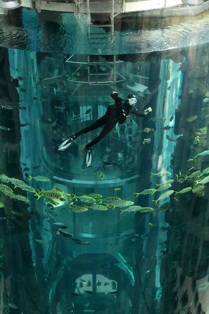 25 metros y más de 1500 peces: AquaDom, el impactante y lujoso acuario en el centro de un hotel de Berlín que estalló en mil pedazos