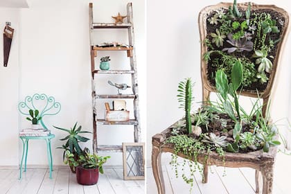 Silla de hierro pintada y varios hallazgos de la calle: la olla que se usa como maceta y una escalera como repisa. Al lado, una silla francesa se convirtió en jardín vertical