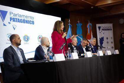 Arabela Carreras participó de una nueva sesión del Parlamento Patagónico