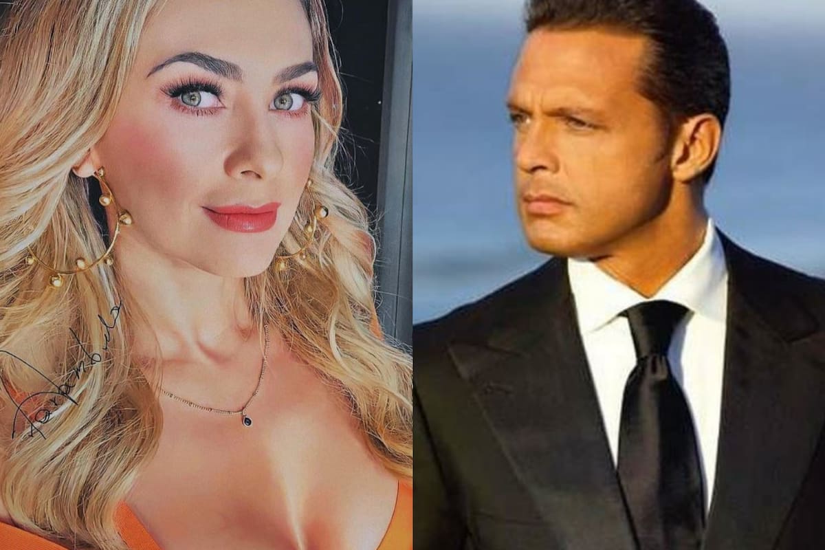 Aracely Arámbula y Luis Miguel tuvieron dos hijos juntos: Miguel y Daniel