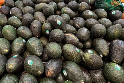 Aranceles de Trump a Canadá y México podrían afectar a consumidores en EEUU