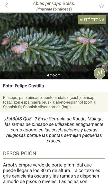 Arbolapp