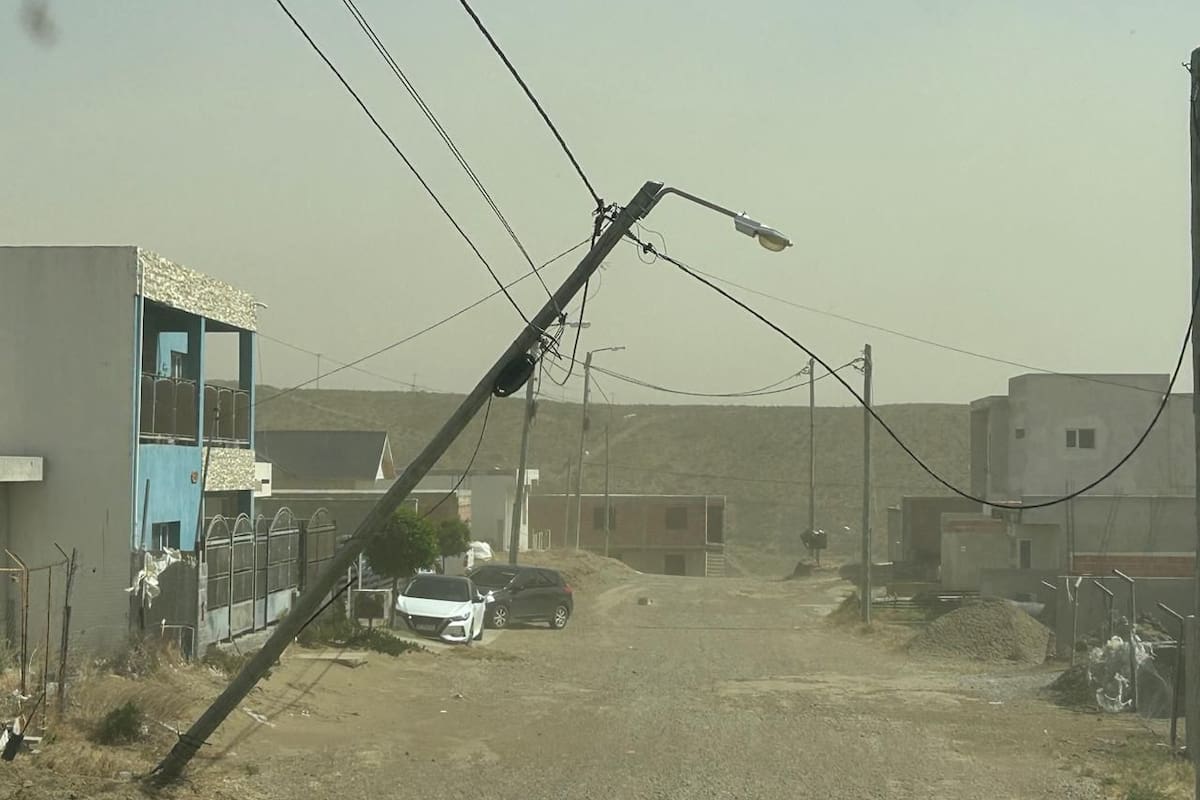 Árboles caídos, cortes de luz, suspensión de clases y corte de rutas, las consecuencias del temporal de viento que afecta a Chubut
