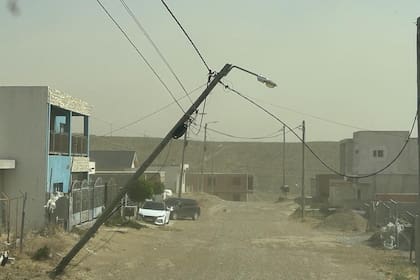 Árboles caídos, cortes de luz, suspensión de clases y corte de rutas, las consecuencias del temporal de viento que afecta a Chubut