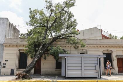 Árboles y ramas que cayeron con un temporal en las calles en barrios de CABA