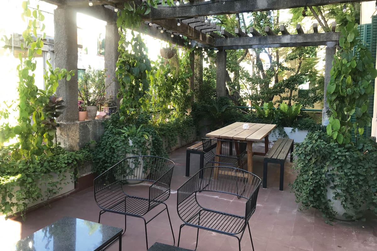 El lúpulo, una trepadora veloz que desaparece en invierno, es conocido porque con sus flores se elabora la cerveza