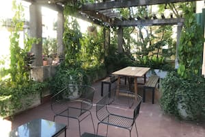 Arbustos o enredaderas pueden ayudarnos a hacer del balcón o la terraza un espacio íntimo.