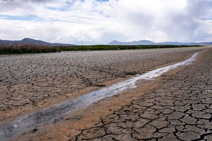 ARCHIVO - A través de la tierra seca y agrietada de un antiguo humedal cerca de Tulelake, California, corre un pequeño arroyo el 9 de junio de 2021. (AP Foto/Nathan Howard, Archivo)