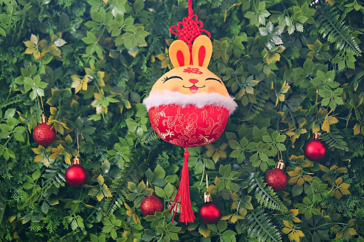 ARCHIVO-. El 2023 será el año del Conejo de Agua.