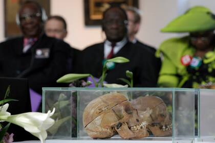 ARCHIVO - En esta fotografía de archivo del jueves 29 de septiembre de 2011, un par de cráneos de miembros de las tribus ovaherero y nama son exhibidos durante una ceremonia a la que asistieron representantes de esas tribus de Namibia en Berlín, Alemania. (AP Foto/Michael Sohn)
