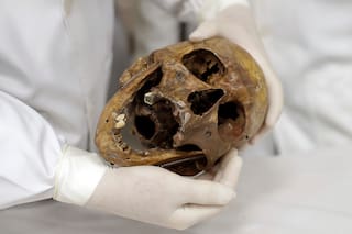 Suiza publica expediente sobre el criminal nazi Mengele, el "Ángel de la muerte"