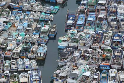 ARCHIVO - En esta imagen del 6 de agosto de 2015, botes pesqueros en un puerto durante un episodio de mal tiempo en el condado de Yilan, en el noreste de Taiwán. Taiwán pidió entrar en un grupo comercial de 11 países del Pacífico, según las autoridades taiwanesas. (AP Foto/Wally Santana, Archivo)