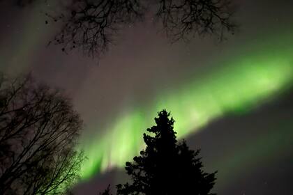 ARCHIVO - La aurora boreal se observa sobre Anchorage, Alaska, a primera hora de la mañana del viernes 11 de octubre de 2024. (Foto AP/Mark Thiessen, Archivo)
