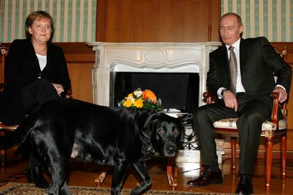 ARCHIVO – La canciller alemana, Angela Merkel, y el presidente ruso, Vladímir Putin, miran pasar a Cony, el perro del mandatario, durante su reunión en la residencia de Putin en el balneario de Suchi, en el mar Negro, el domingo 21 de enero de 2007. (AP Foto/Mikhail Metzel, Archivo)