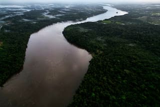 Supremo Tribunal Federal de Brasil revisará casos clave sobre Amazonía y tierras indígenas
