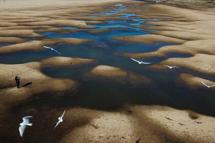 ARCHIVO - Pájaros vuelan sobre un hombre que toma fotos del lecho expuesto del Río Paraná Viejo, afluente del Paraná, durante una sequía en Rosario, Argentina, el 29 de julio de 2021. (AP Foto/Victor Caivano, Archivo)