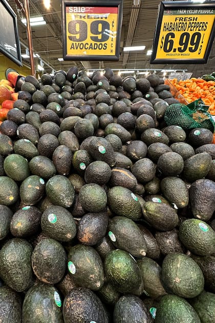 ARCHIVO. Paltas a la venta en una tienda en Waukegan, Illinois, el miércoles 25 de septiembre de 2024. Las frutas y verduras importadas como las paltas que no se pueden almacenar verán sus precios incrementados en cuestión de días