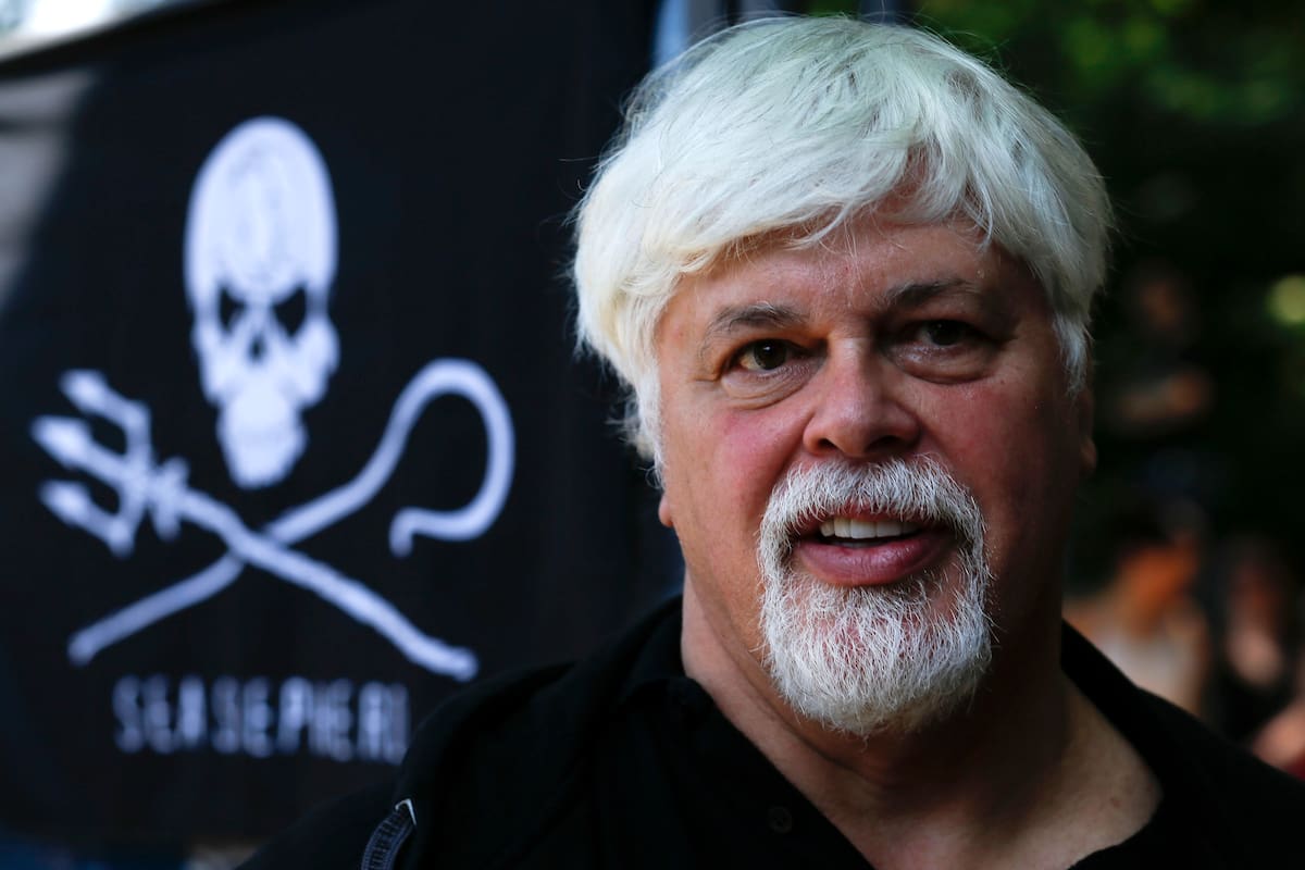 ARCHIVO - Paul Watson, fundador y presidente de Sea Shepherd Conservation, una organización internacional en defensa de la conservación de la fauna marina y los ecosistemas, podría quedar preso en Japón (AP Foto/Markus Schreiber, archivo)