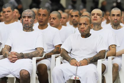 ARCHIVO - Presuntos miembros de pandillas participan en un juicio masivo en el Centro de Confinamiento Contra el Terrorismo (CECOT) en Tecoluca, El Salvador, el 23 de abril de 2026. (AP Foto/Salvador Meléndez, Archivo)