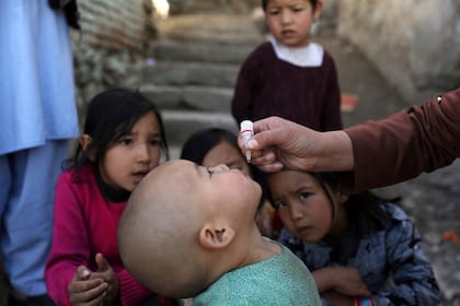 ARCHIVO - Shabana Maani administra una vacuna de polio a un niño en la zona antigua de Kabul, Afganistán, el lunes 29 de marzo de 2021. (AP Foto/Rahmat Gul, Arrchivo)