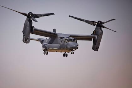 ARCHIVO - Un avión Bell Boeing V-22 Osprey de la Fuerza Aérea de Estados Unidos despega en unos ejercicios militares multinacionales el 17 de junio de 2023, en Zarqa, Jordania. (AP Foto/Maya Alleruzzo, archivo)