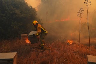 La ONU advierte que un inusual fenómeno de El Niño empeorará “un planeta que ya está en llamas”