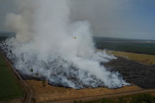 Los incendios son más extremos en Europa y Norteamérica, pero los fuegos se reducen a nivel global