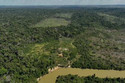 ARCHIVO - Un río bordea una zona deforestada ilegalmente por acaparadores de tierras y ganaderos en una reserva Jaci-Paraná, en el estado de Rondonia, Brasil, el 11 de julio de 2023. (Foto AP/Andre Penner, Archivo)