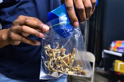 ARCHIVO - Un vendedor guarda en una bolsa unos hongos psicodélicos en una tienda de cannabis (AP Foto/Richard Vogel, Archivo)