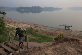 Ambientalistas celebran la reelección de Lula en Brasil: "La Amazonía respira aliviada"