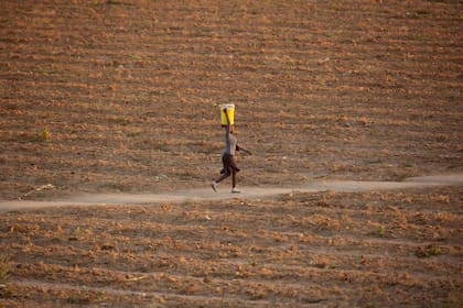 ARCHIVO - Una mujer camina por una senda junto a un campo desierto en Zvimba, Zimbabue, 26 de junio de 2021. El Programa Mundial de Alimentos de la ONU dijo el miércoles 17 de enero de 2024 que estaba colaborando con el gobierno de Zimbabue y agencias de ayuda para llevar alimentos a 2,7 millones de personas, cuando el fenómeno meteorológico El Niño agravaba una sequía en el sur de África. (AP Foto/Tsvangirayi Mukwazhi, File)