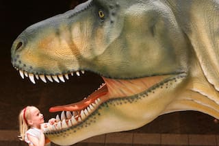 El Tyrannosaurus rex tenía una temperatura corporal similar a la de los humanos, dice un estudio