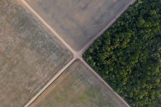 Supremo Tribunal de Brasil respalda leyes que hundieron la moratoria de la soja en la Amazonía