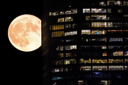 ARCHIVO - Una superluna pasa detrás de las ventanas iluminadas de un rascacielos en Nueva York, 1 de agosto de 2023. Una inusual superluna sumada al huracán Idalia podría elevar las mareas en la costa occidental de Florida y exacerbar las inundaciones provocadas por la tormenta. (AP Foto/J. David Ake, File)