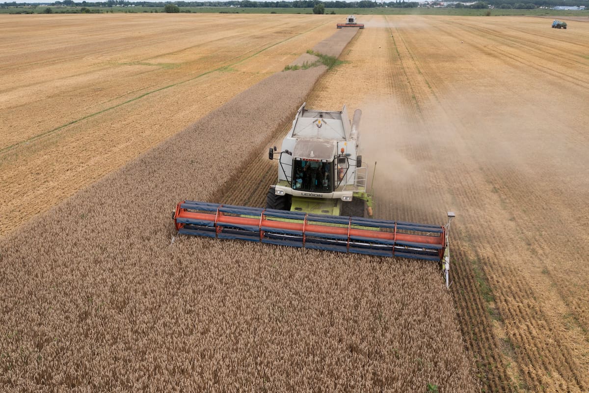 ARCHIVO - Varias cosechadoras recogen trigo en la localidad de Zghurivka, Ucrania, el 9 de agosto de 2022. Hay una creciente preocupación de que Rusia no amplíe el acuerdo mediado por Naciones Unidas que permite que el grano de Ucrania siga llegando a zonas del mundo que sufren hambre. Ya no hay barcos que se dirijan a los puertos ucranianos del Mar Negro, y las exportaciones de comida se han reducido a un goteo.(AP Foto/Efrem Lukatsky, Archivo)