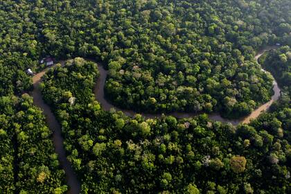 ARCHIVO - Vista de la selva amazónica con el río Guama y la isla Combu cerca de Belem, Brasil (AP Foto/Eraldo Peres)