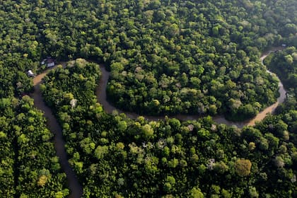 ARCHIVO - Vista de la selva amazónica con el río Guama y la isla Combu cerca de Belem, Brasil (AP Foto/Eraldo Peres)