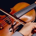 La madera empleada en los violines y otros instrumentos de cuerda podría volverse ilegal